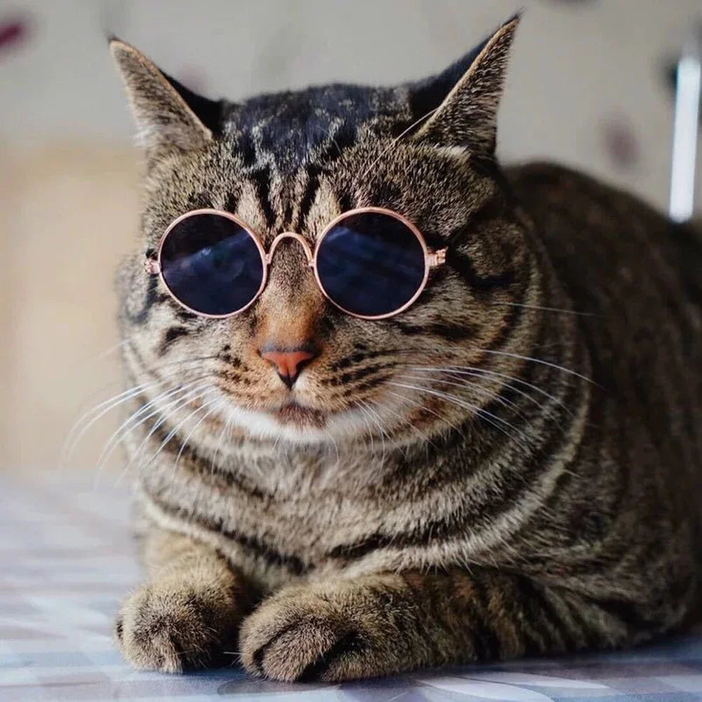Pet Accessories Cat Glasses Photography Kitten Glasses Small Dog Sunglasses Puppy Cat Sunglasses Cosplay Costume Photos Props